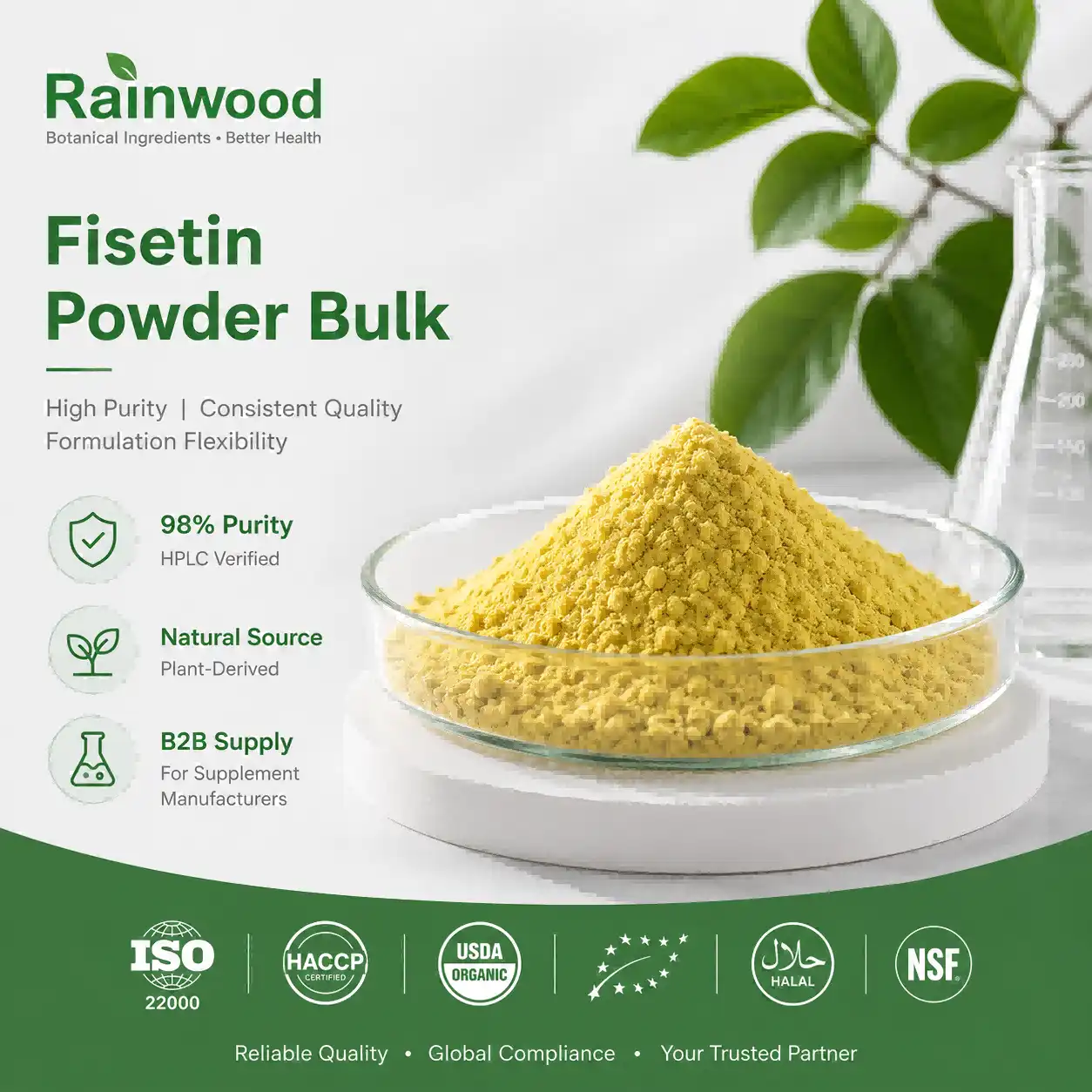 Fisetin Powder - Natural Antioxidant & Longevity Support Fisetin Powder - Natural Antioxidant & Longevity Support